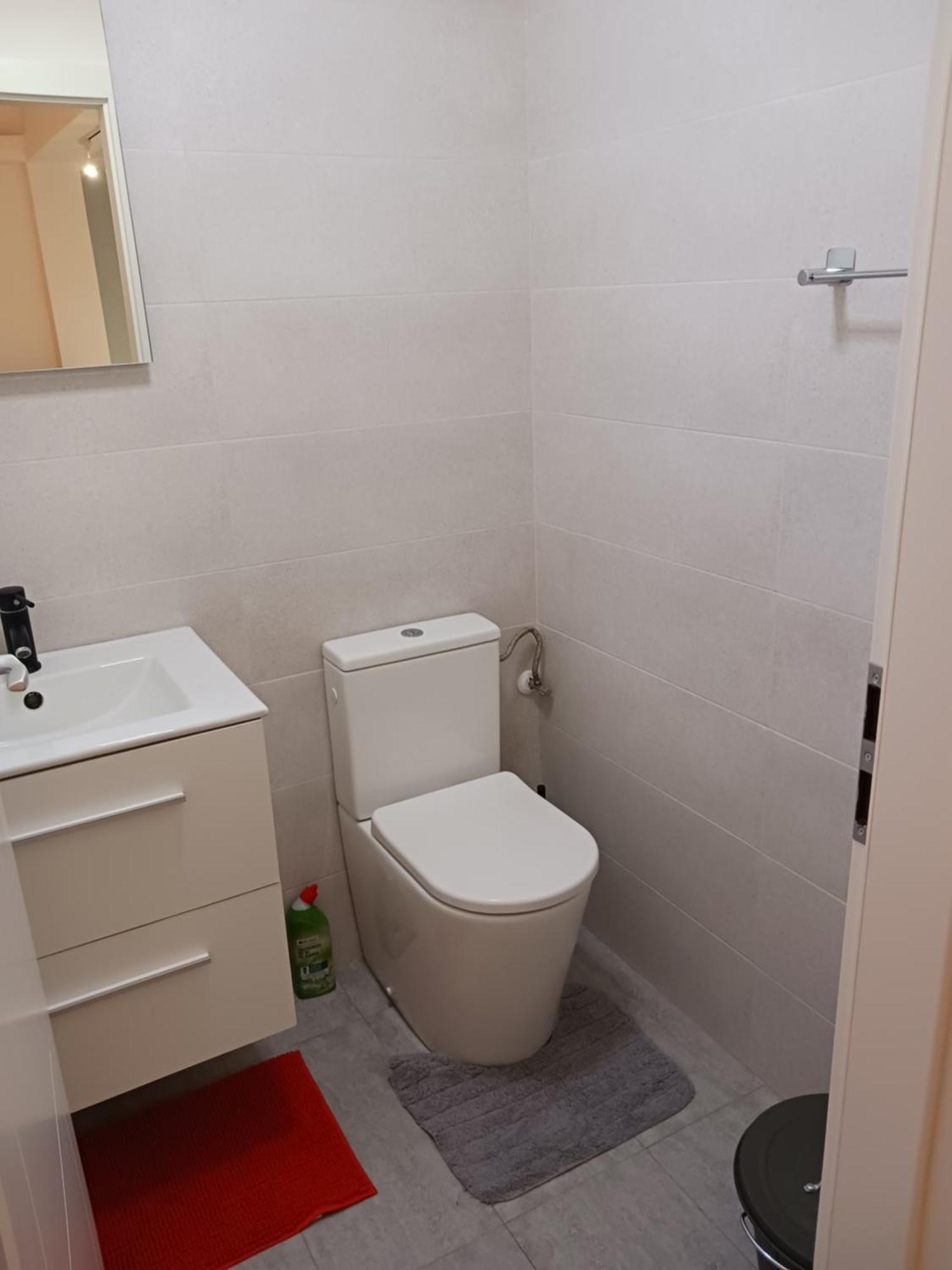 Apartament Myky Mouse Nu Primesc Santieristi Si Petrecareti