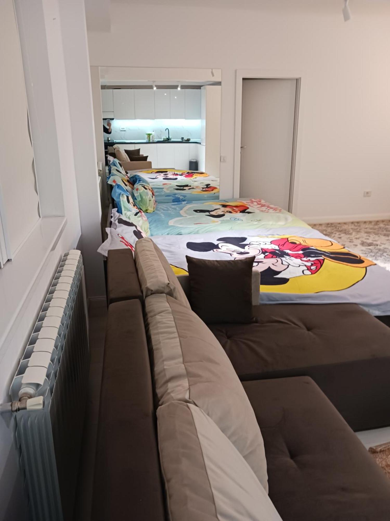 Apartament Myky Mouse Nu Primesc Santieristi Si Petrecareti