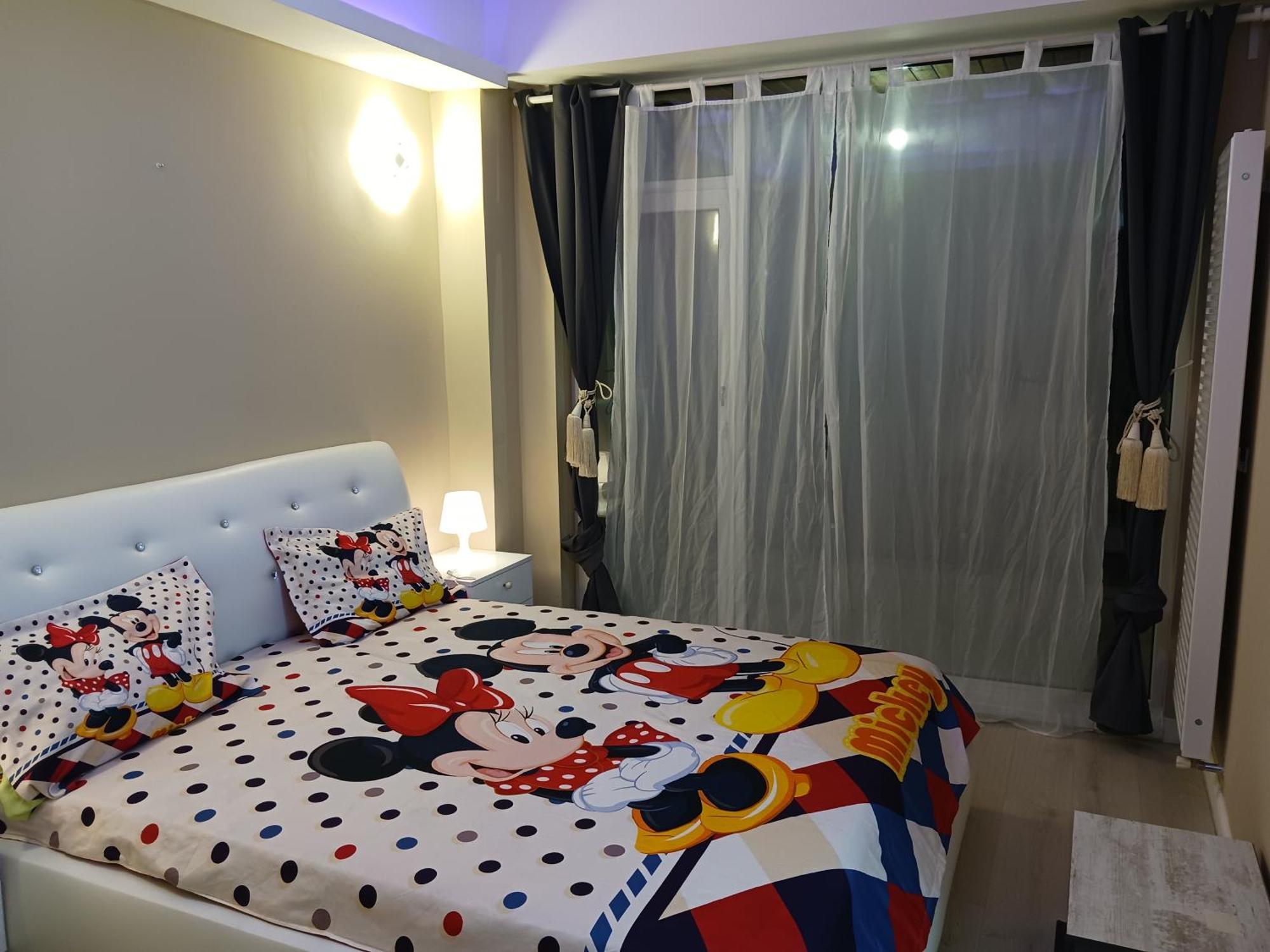 Myky Mouse Nu Primesc Santieristi Si Petrecareti Apartament *
