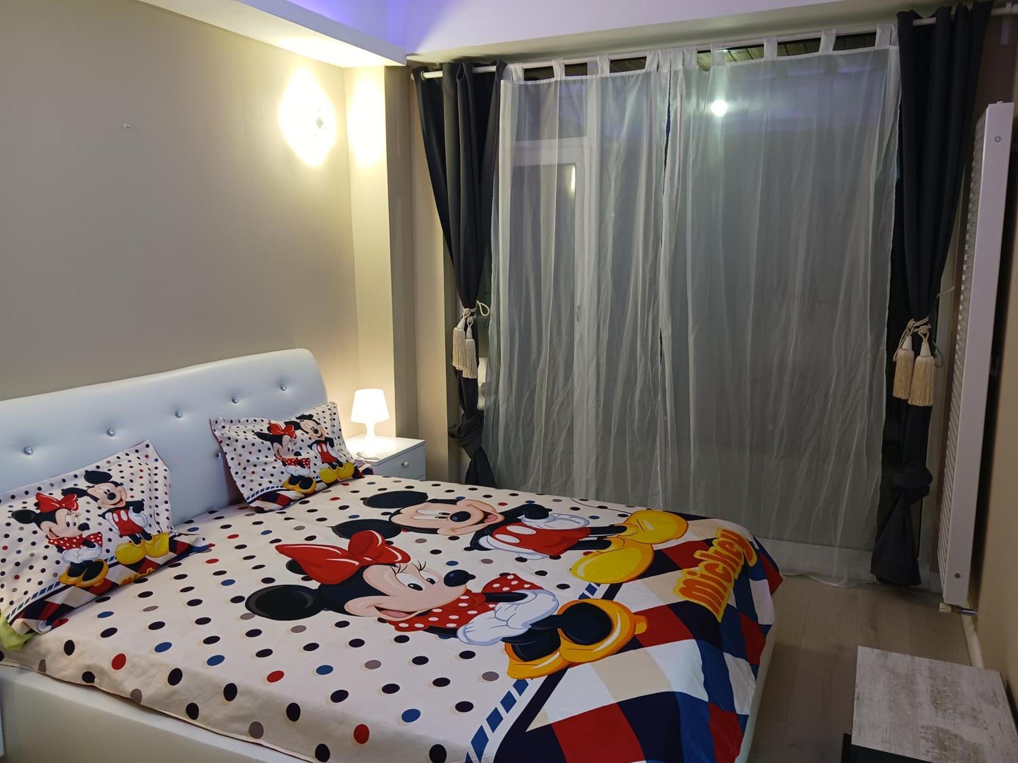 Myky Mouse Nu Primesc Santieristi Si Petrecareti Apartament