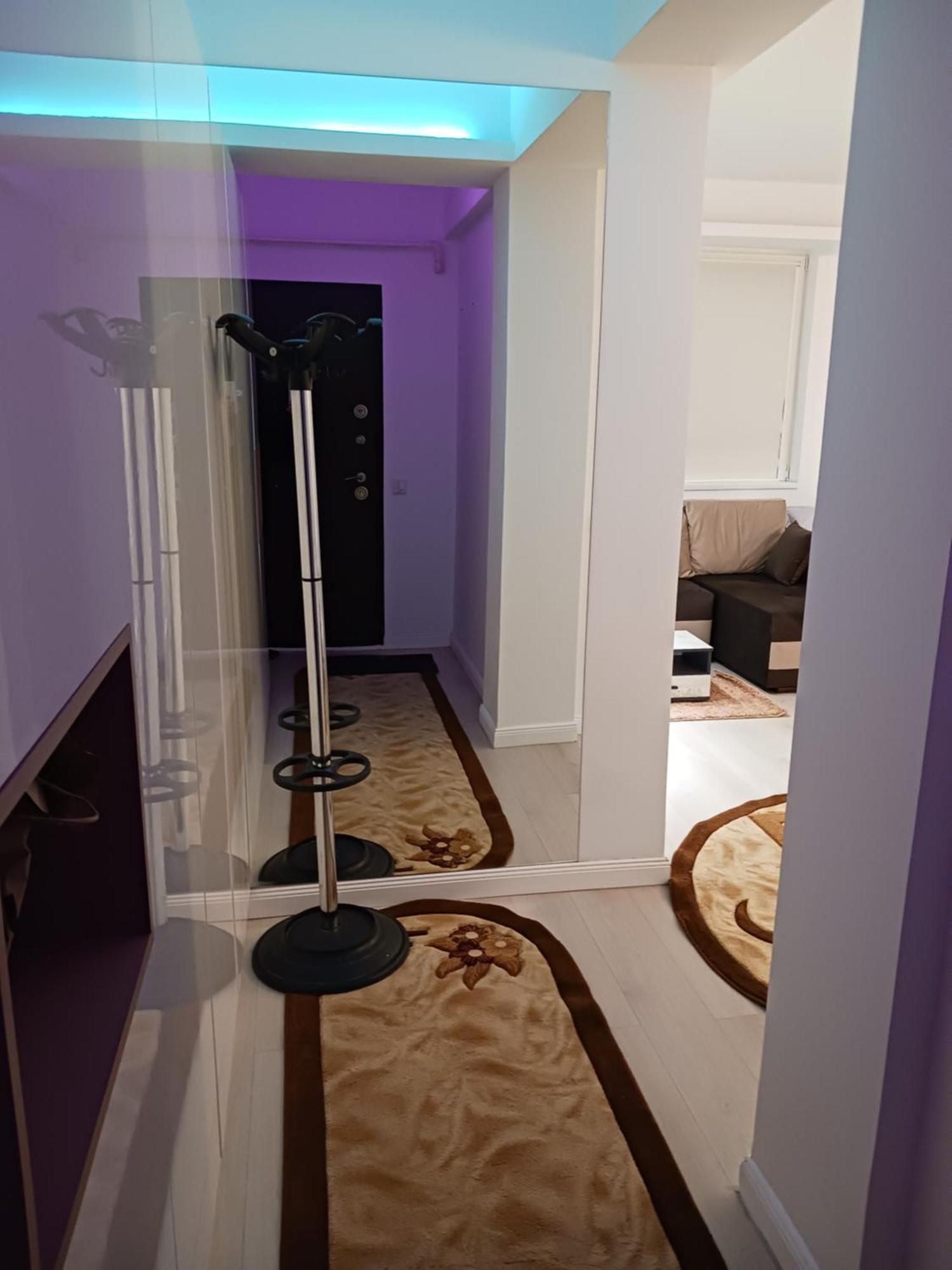Apartament Myky Mouse Nu Primesc Santieristi Si Petrecareti