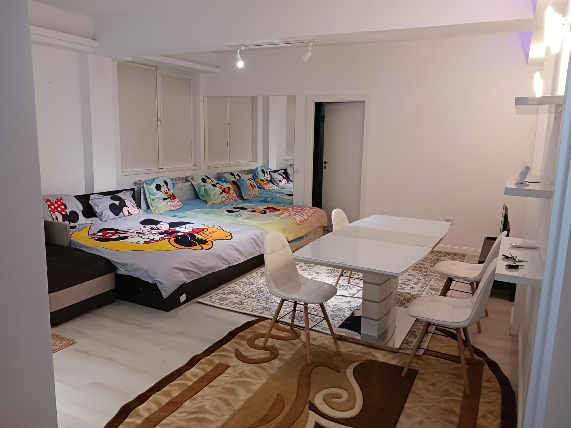 Myky Mouse Nu Primesc Santieristi Si Petrecareti Apartament *