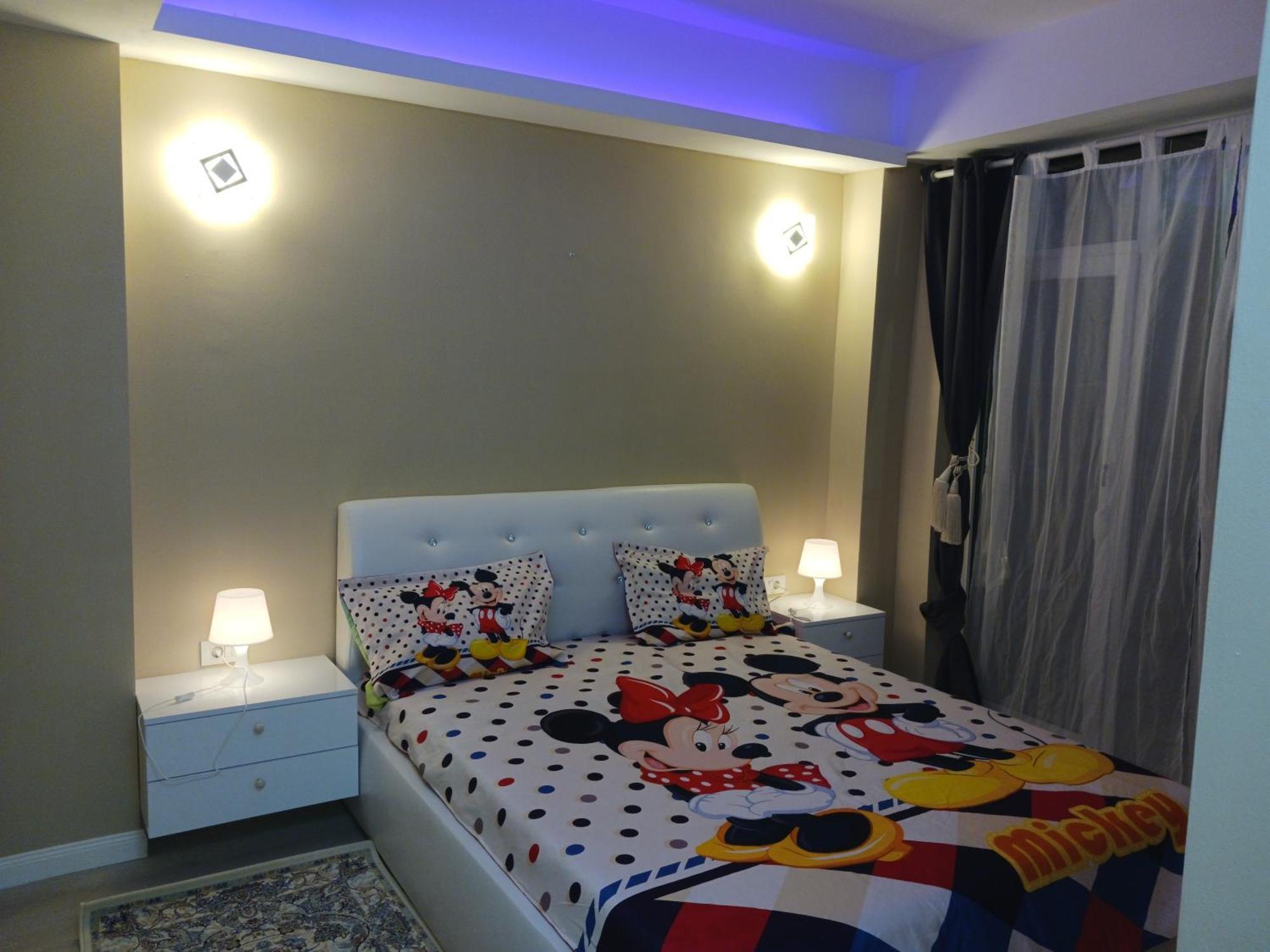 Myky Mouse Nu Primesc Santieristi Si Petrecareti Apartament Bucureşti