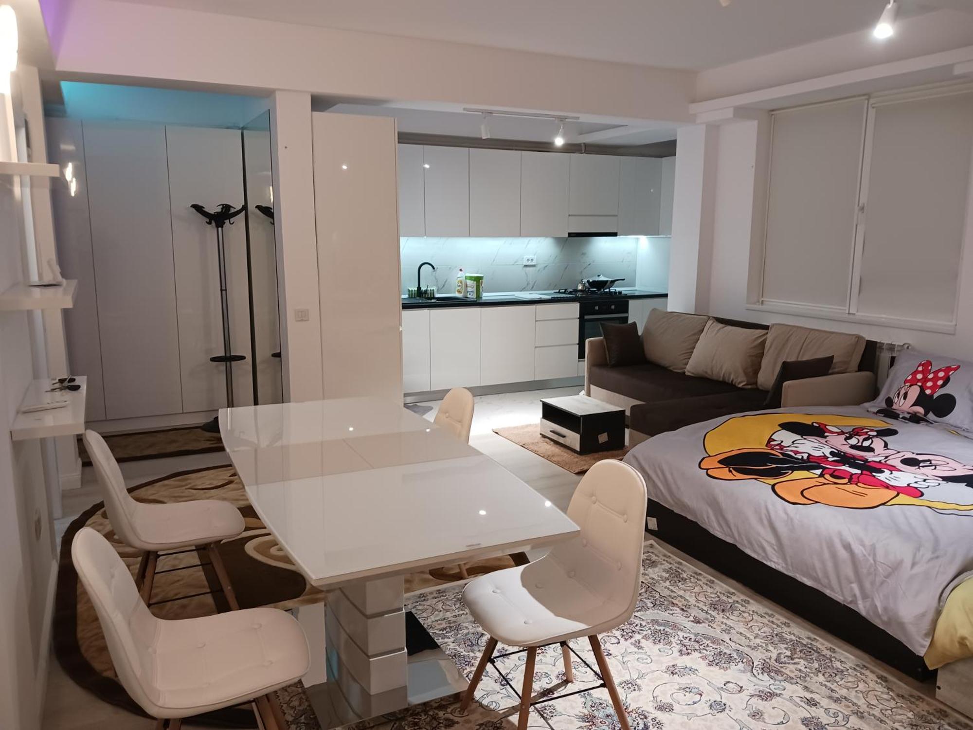 Myky Mouse Nu Primesc Santieristi Si Petrecareti Apartament *