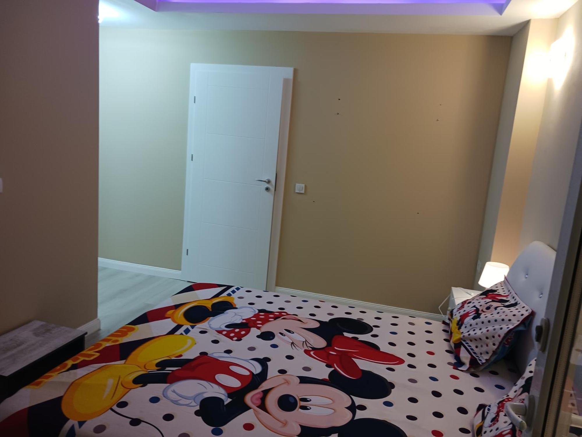 Appartamento Myky Mouse Nu Primesc Santieristi Si Petrecareti *