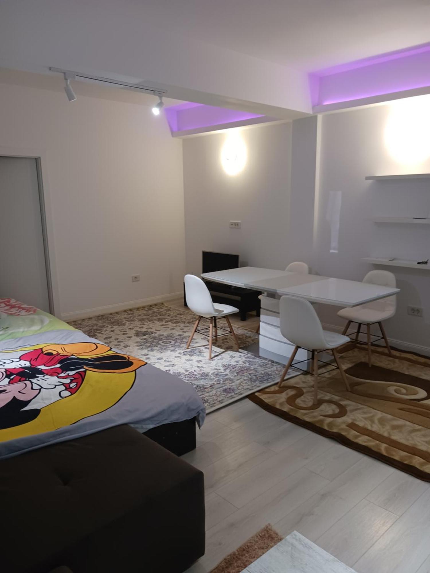 Appartamento Myky Mouse Nu Primesc Santieristi Si Petrecareti *