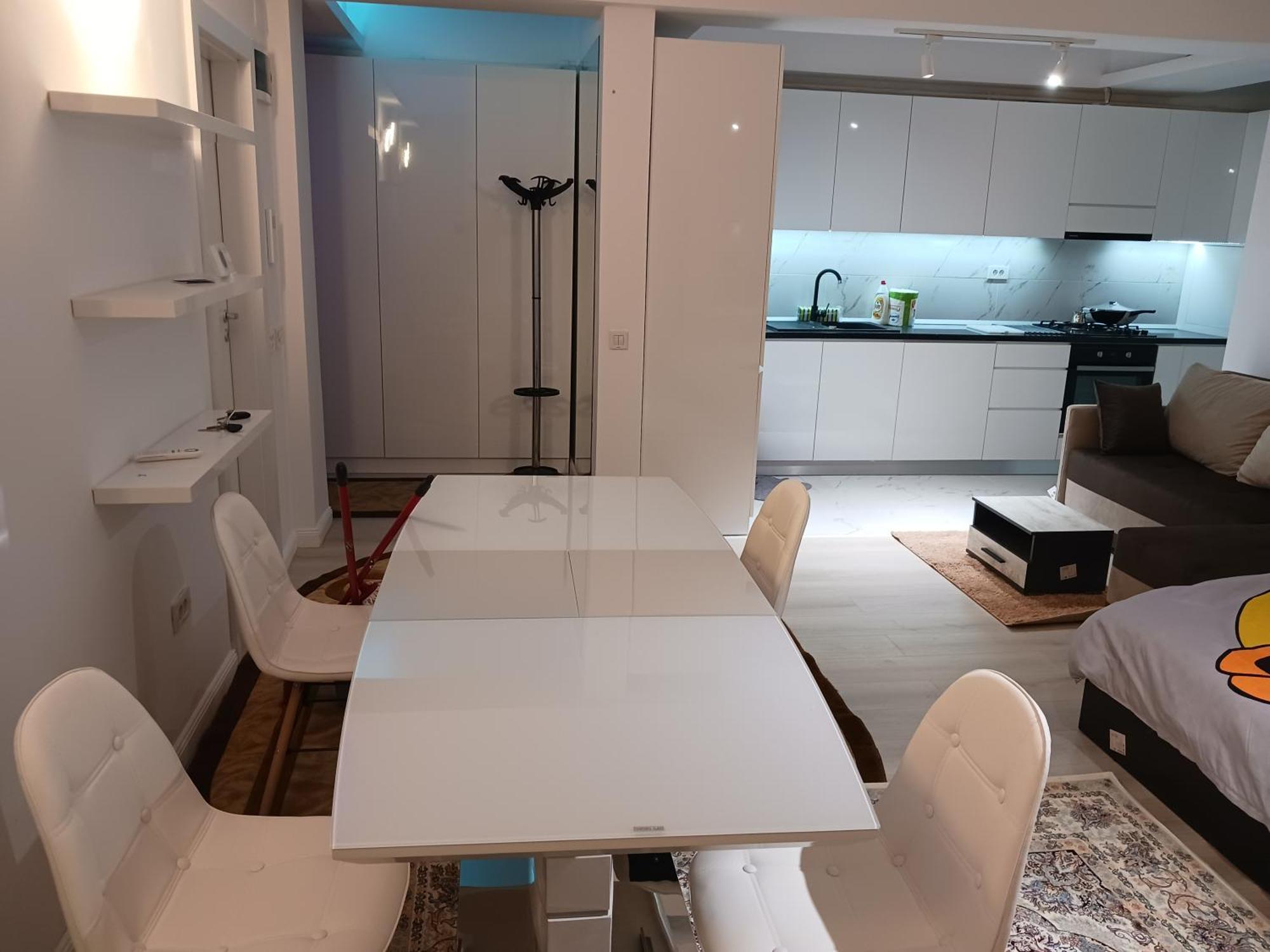 Myky Mouse Nu Primesc Santieristi Si Petrecareti Appartamento Bucarest