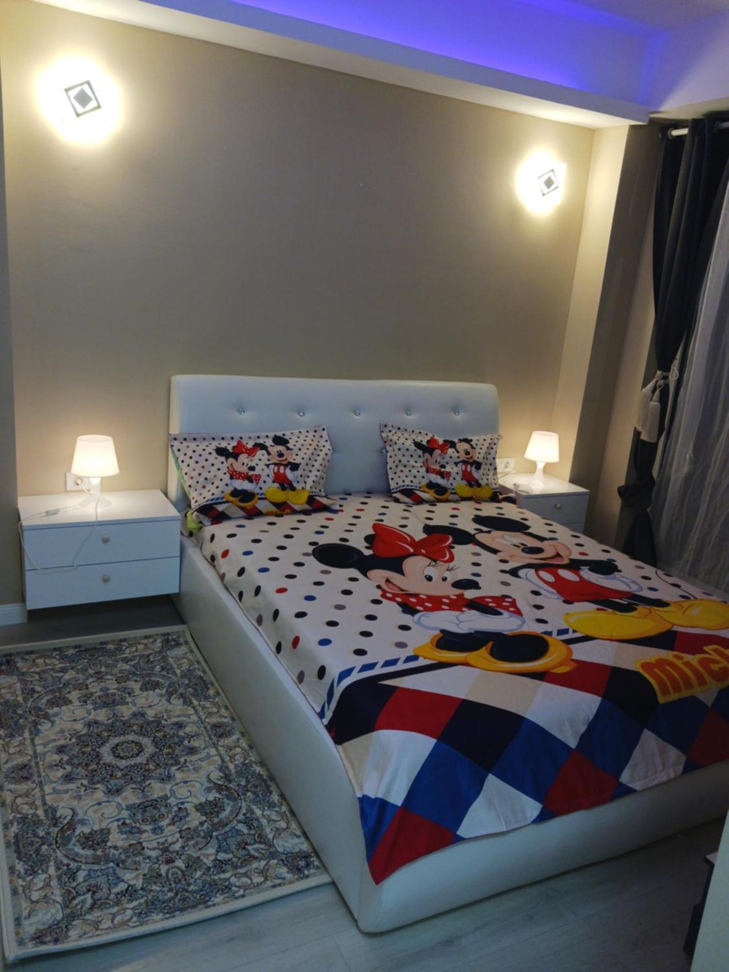 Myky Mouse Nu Primesc Santieristi Si Petrecareti Bucarest