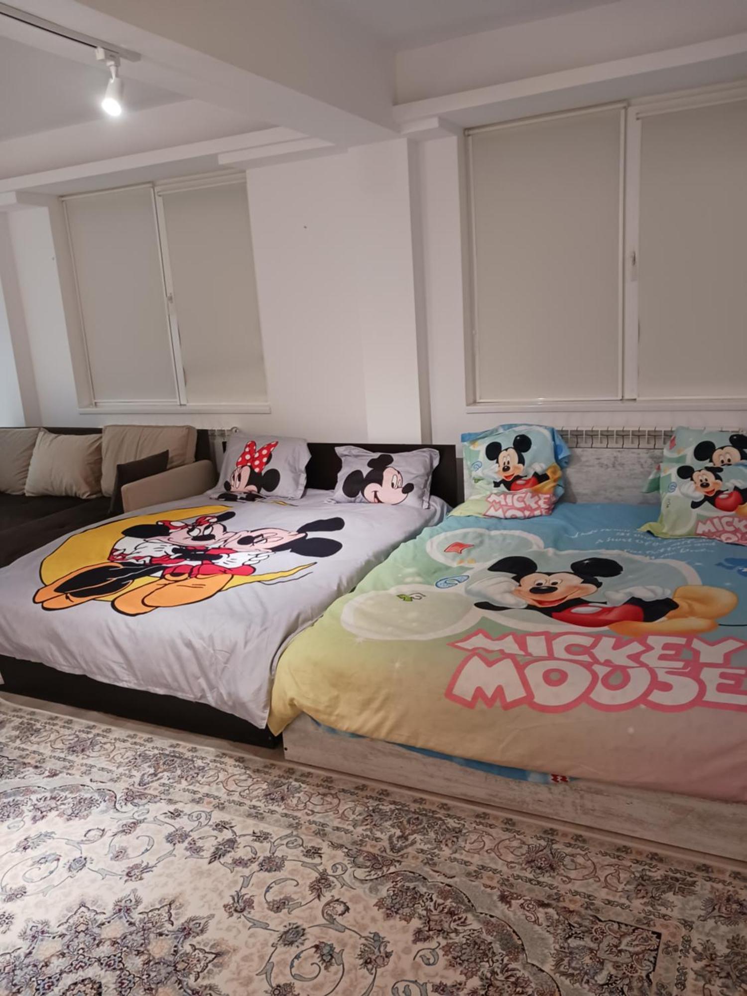 Myky Mouse Nu Primesc Santieristi Si Petrecareti * Bucarest