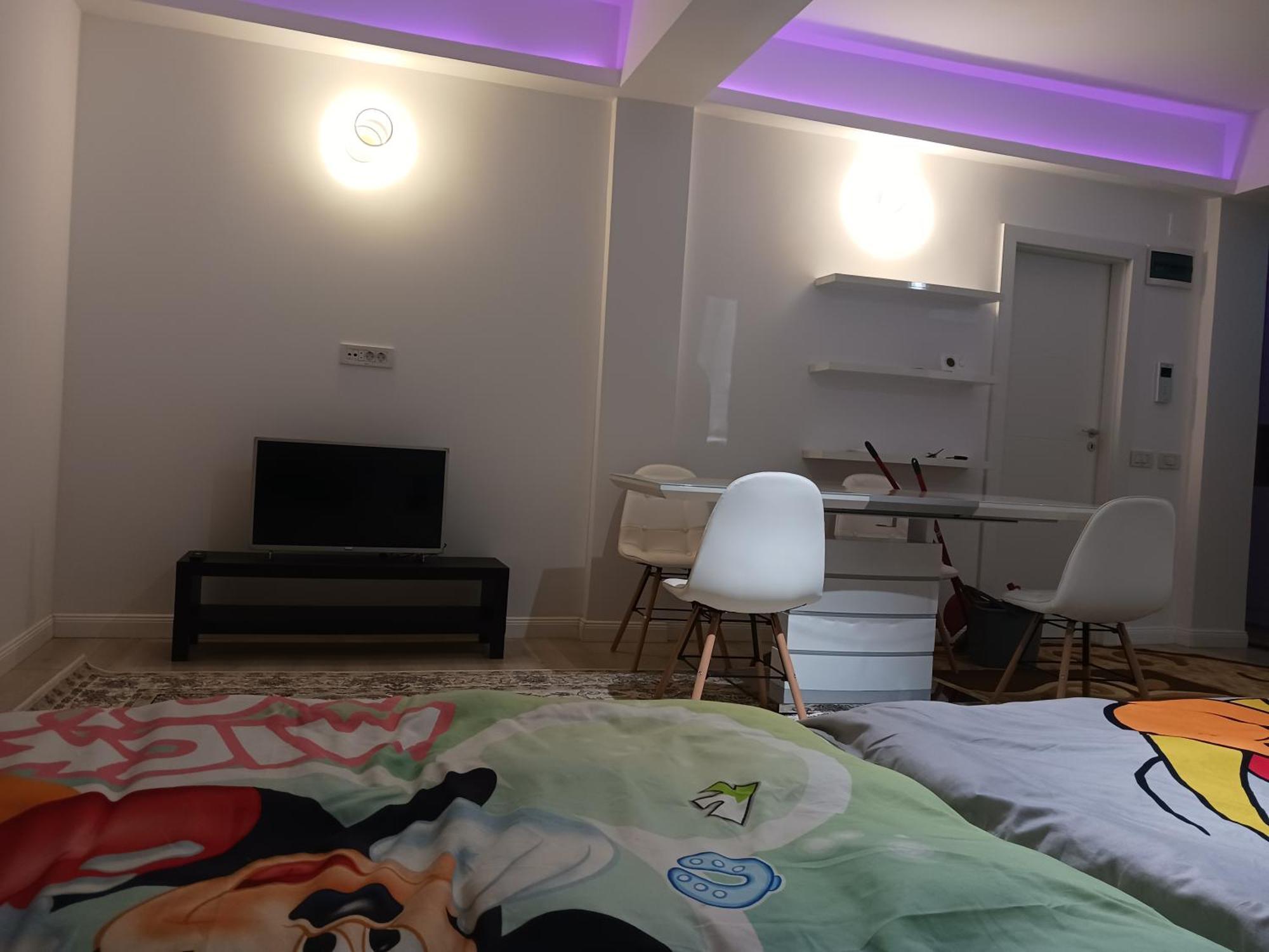 Appartamento Myky Mouse Nu Primesc Santieristi Si Petrecareti