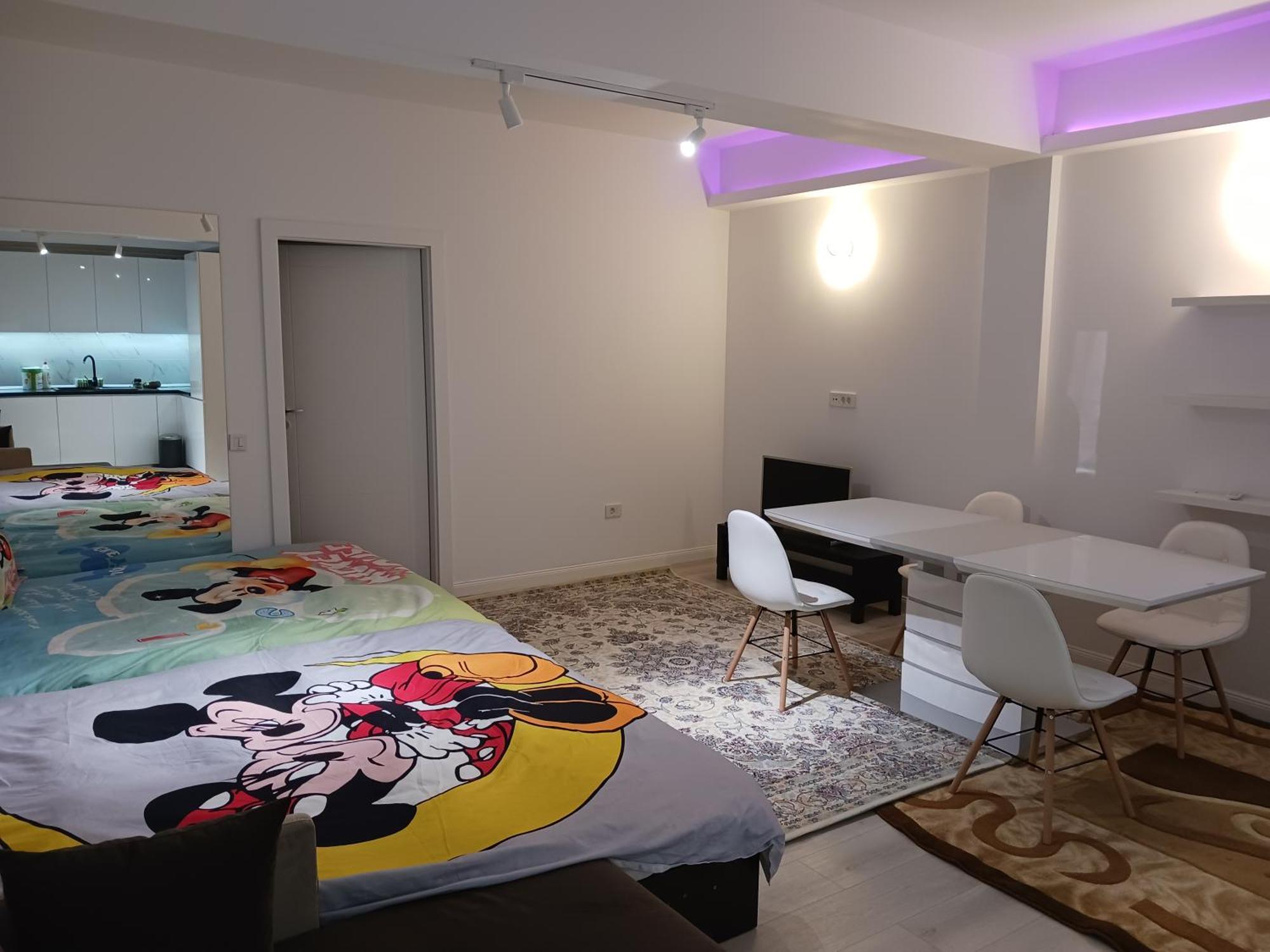 Appartamento Myky Mouse Nu Primesc Santieristi Si Petrecareti Bucarest