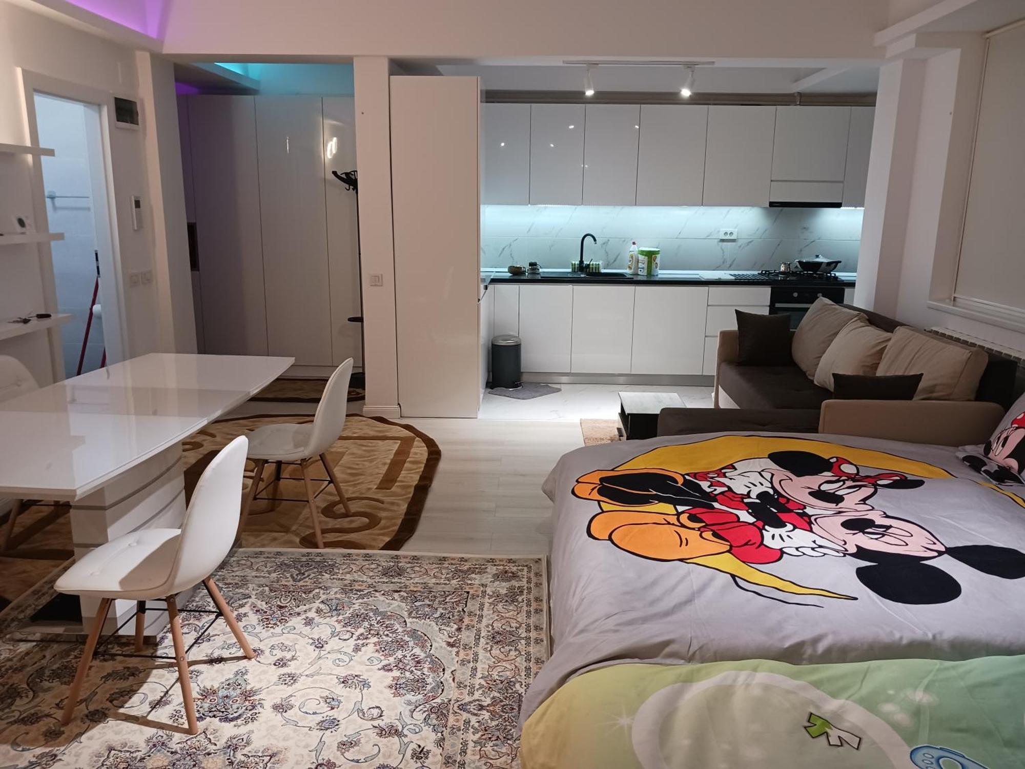 Appartamento Myky Mouse Nu Primesc Santieristi Si Petrecareti