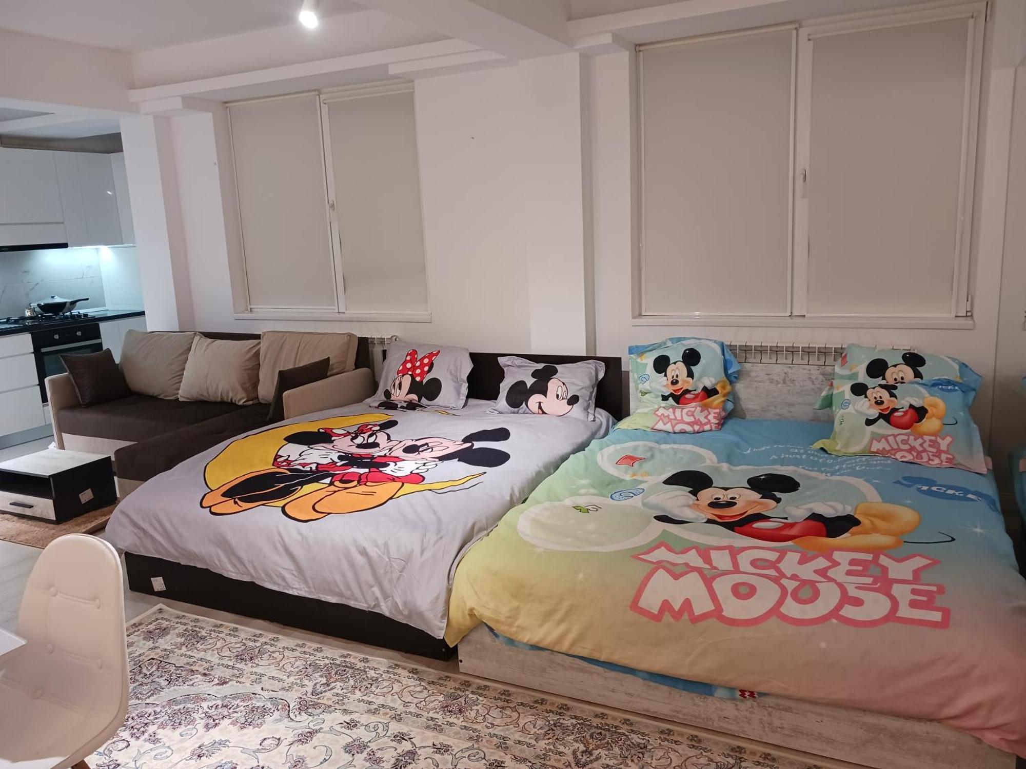 Appartamento Myky Mouse Nu Primesc Santieristi Si Petrecareti Bucarest